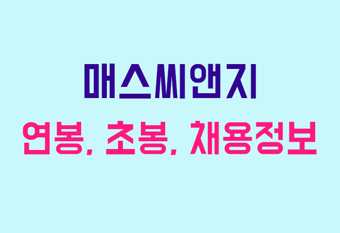 매스씨앤지 연봉