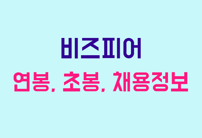 비즈피어 연봉
