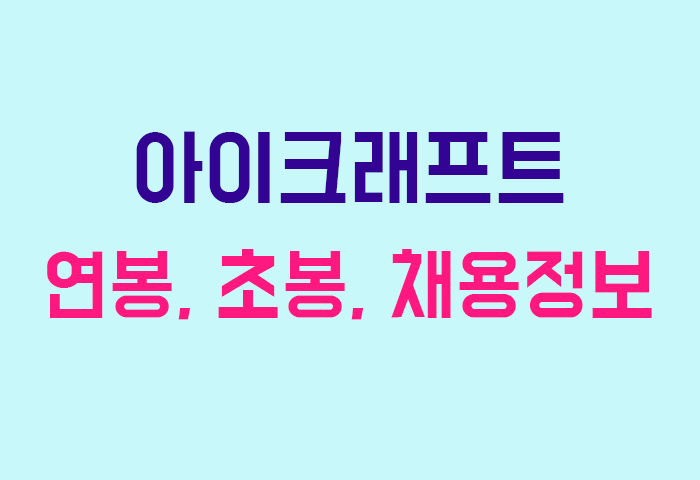아이크래프트 연봉