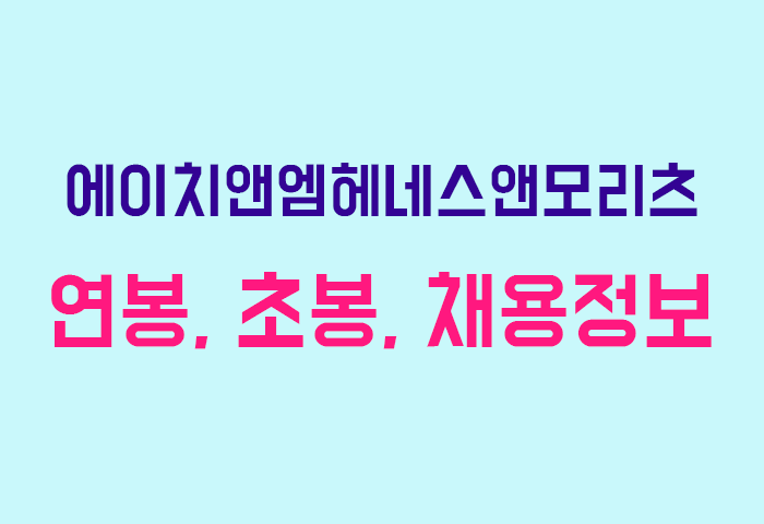 에이치앤엠헤네스앤모리츠 연봉