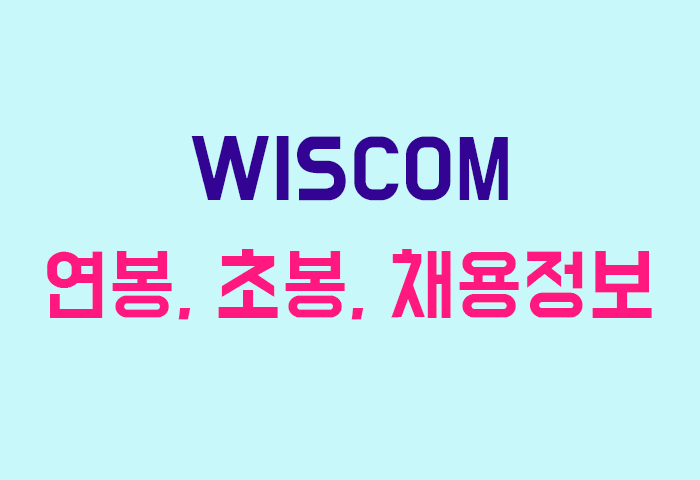 WISCOM 연봉