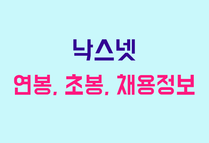 낙스넷 연봉