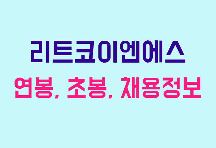 리트코이엔에스 연봉