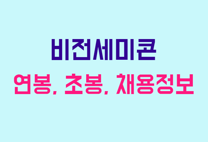 비전세미콘 연봉