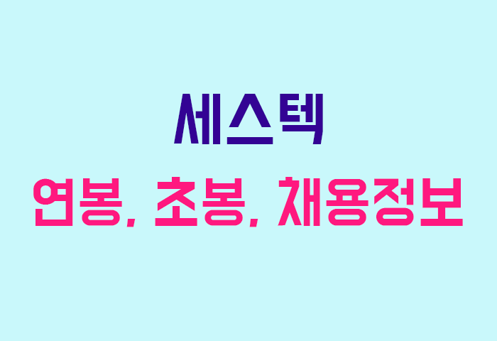 세스텍 연봉