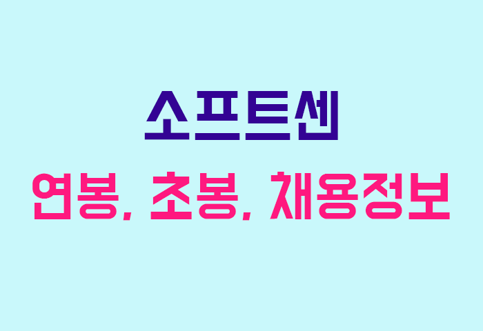 소프트센 연봉