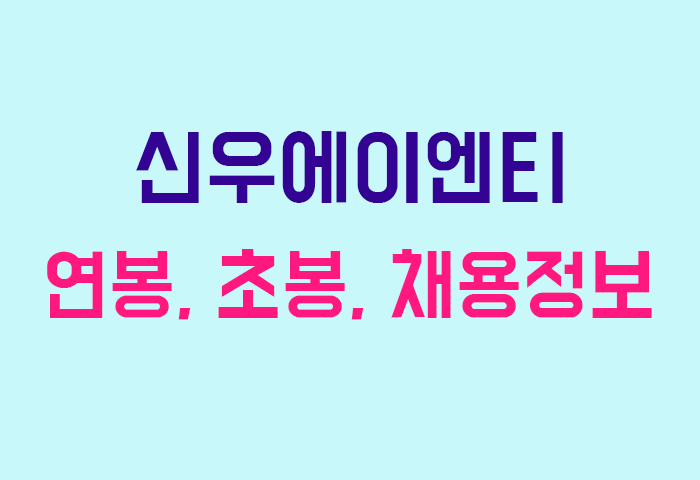 신우에이엔티 연봉