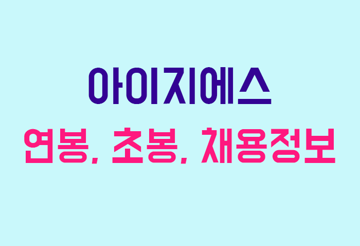 아이지에스 연봉