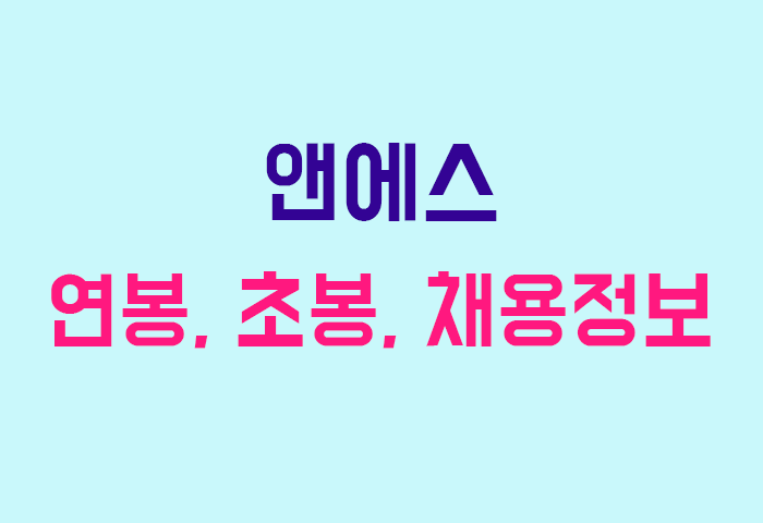 앤에스 연봉