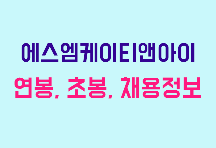 에스엠케이티앤아이 연봉