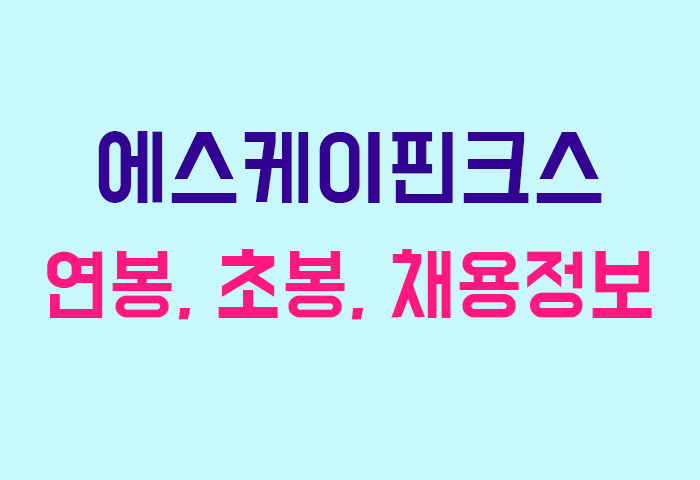 에스케이핀크스 연봉