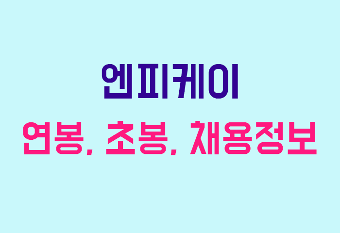 엔피케이 연봉