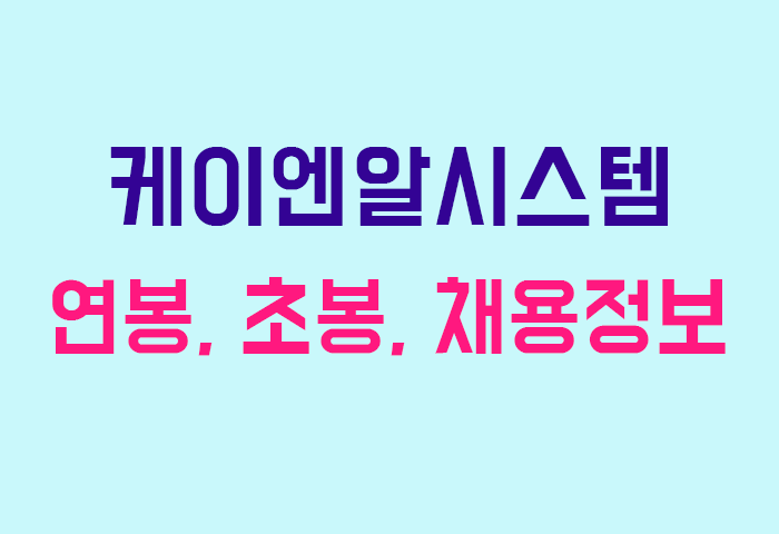 케이엔알시스템 연봉