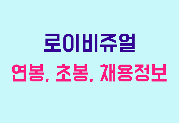 로이비쥬얼 연봉