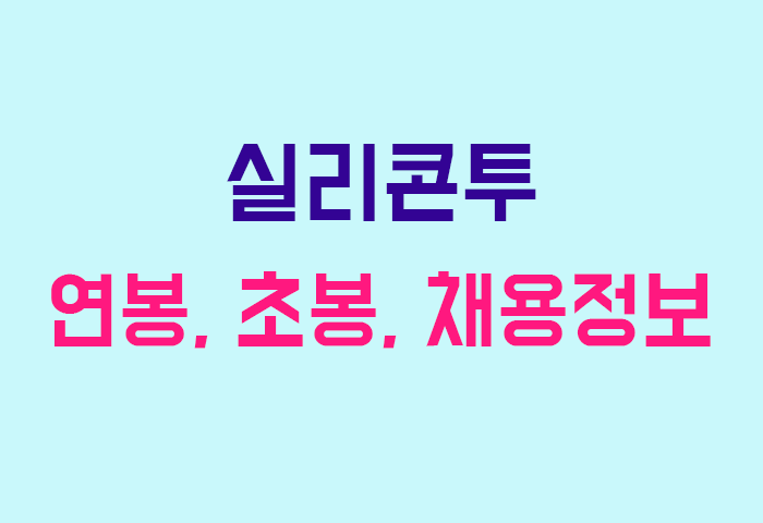실리콘투 연봉