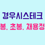 경우시스테크 연봉