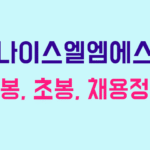 나이스엘엠에스 연봉