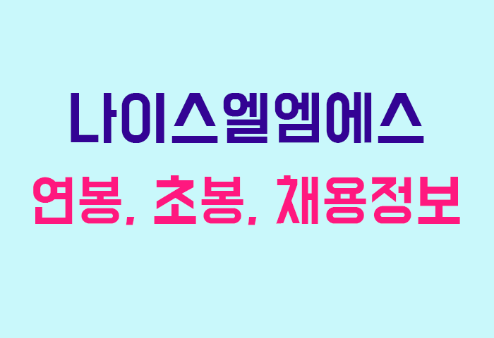 나이스엘엠에스 연봉