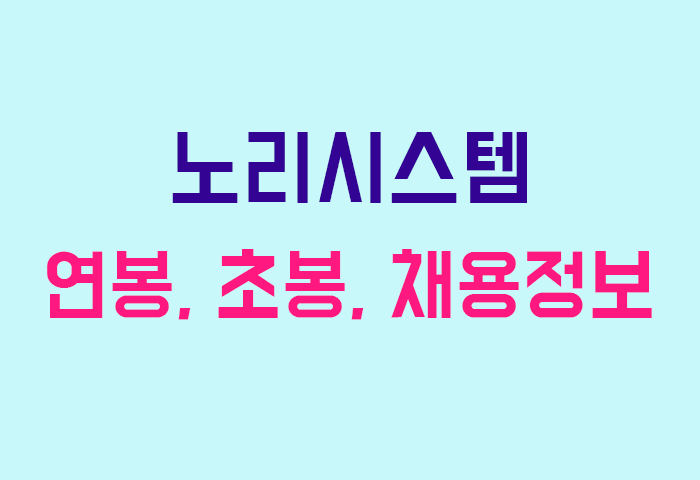 노리시스템 연봉