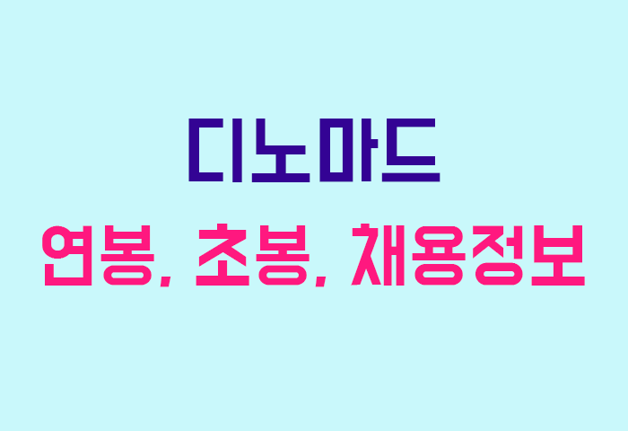 디노마드 연봉