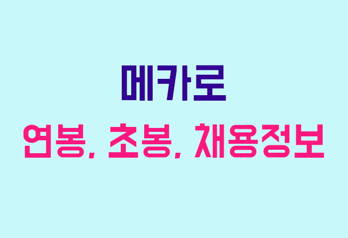 메카로 연봉