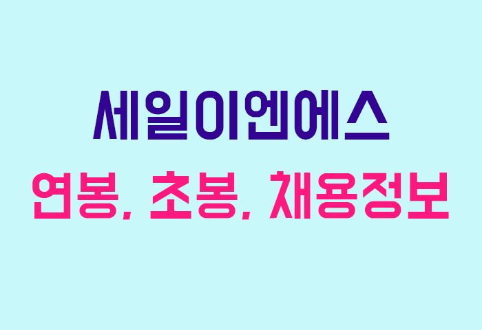 세일이엔에스 연봉