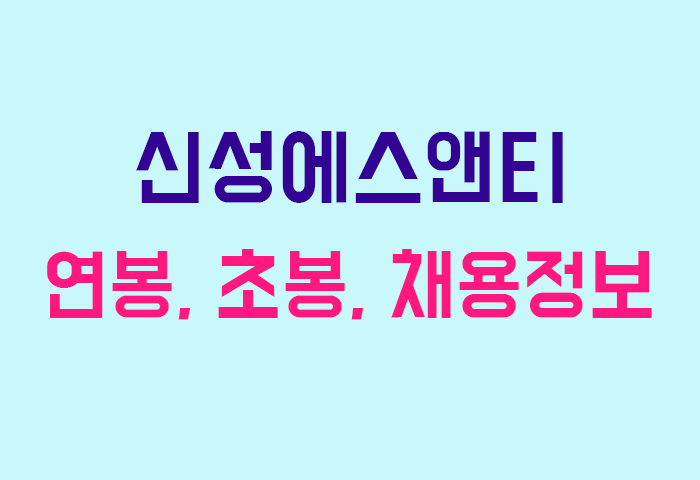 신성에스앤티 연봉