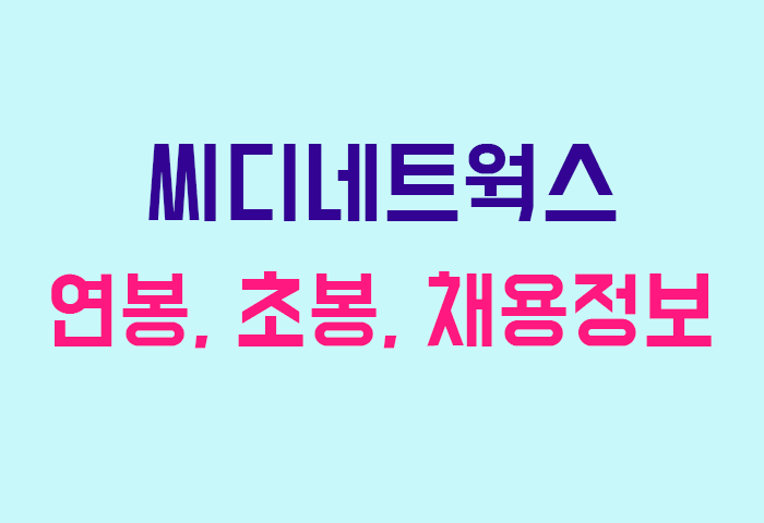 씨디네트웍스 연봉