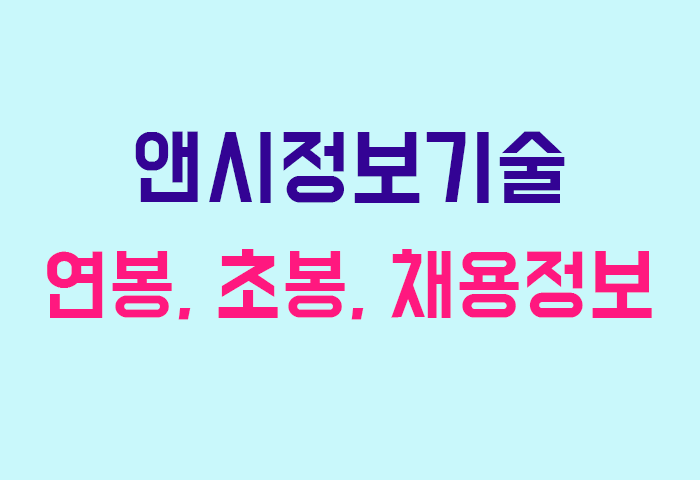 앤시정보기술 연봉