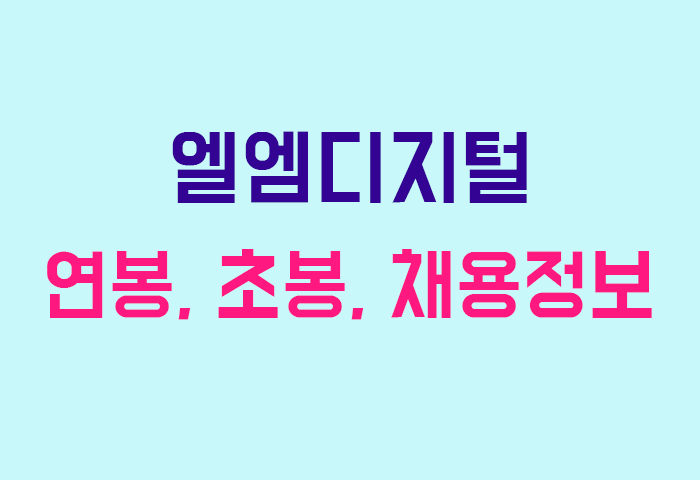 엘엠디지털 연봉