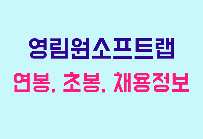 영림원소프트랩 연봉