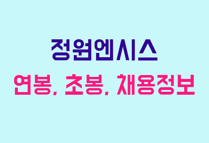 정원엔시스 연봉