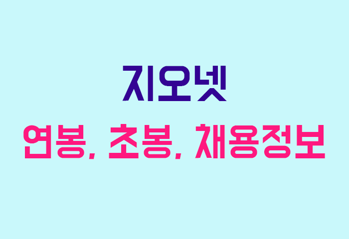 지오넷 연봉
