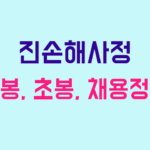 진손해사정 연봉
