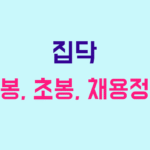 집닥 연봉
