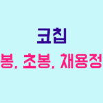 코칩 연봉