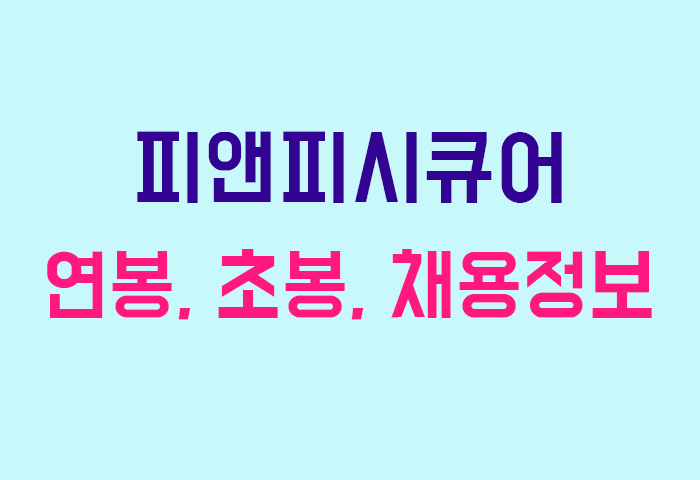 피앤피시큐어 연봉