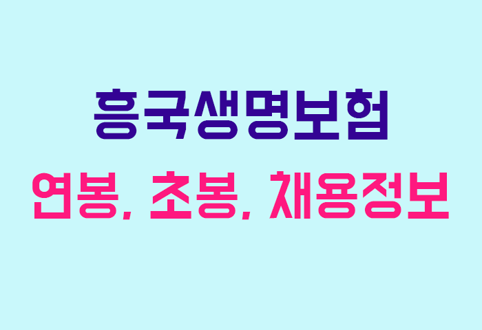 흥국생명보험 연봉