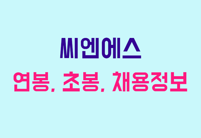 씨엔에스 연봉
