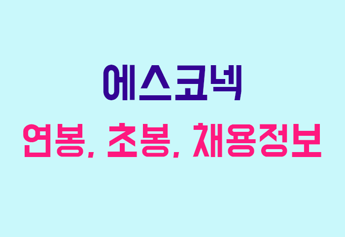 에스코넥 연봉