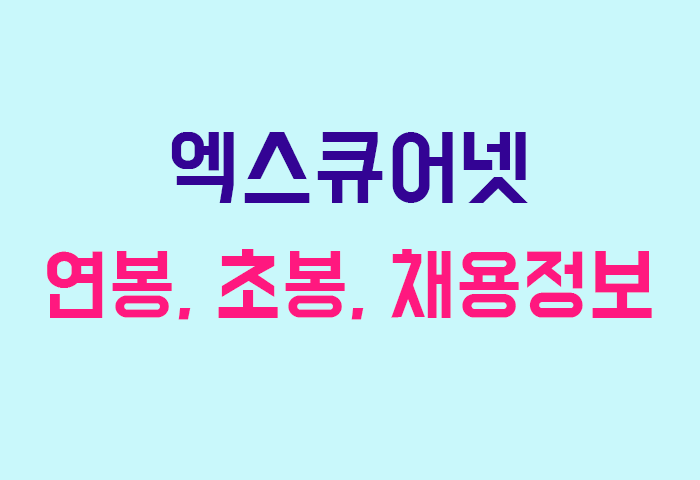 엑스큐어넷 연봉