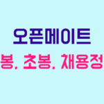 오픈메이트 연봉