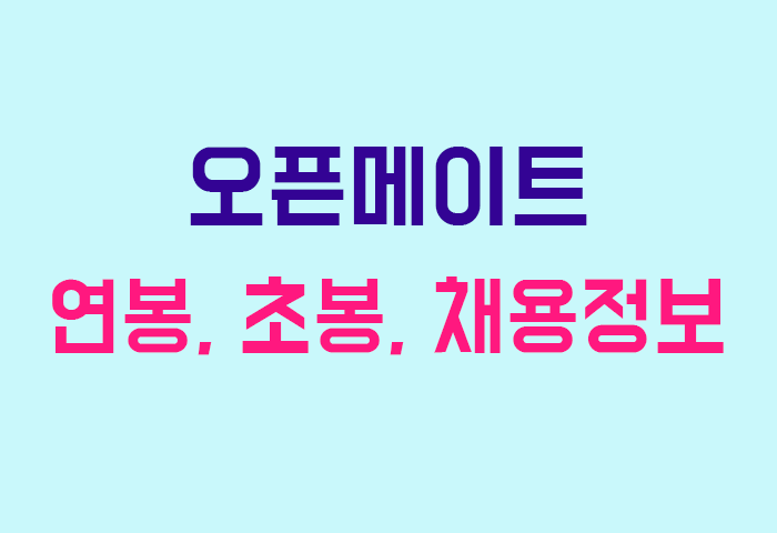 오픈메이트 연봉