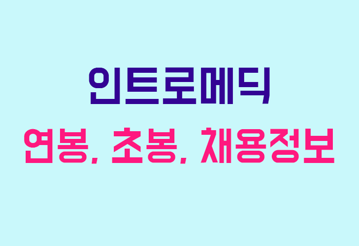인트로메딕 연봉