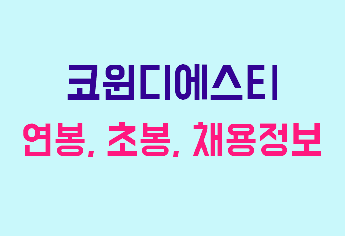 코윈디에스티 연봉