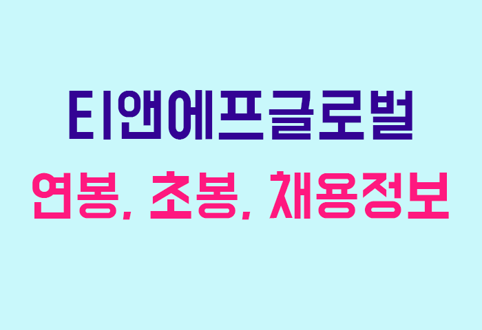 티앤에프글로벌 연봉