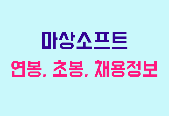 마상소프트 연봉