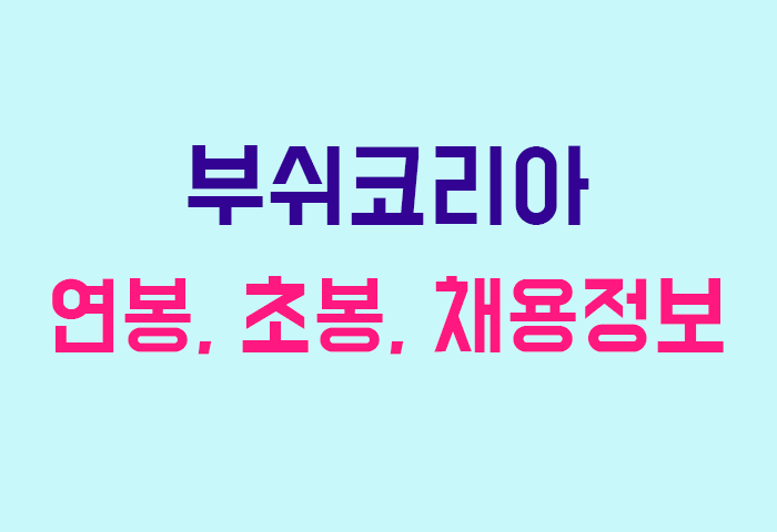 부쉬코리아 연봉