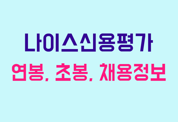 나이스신용평가 연봉