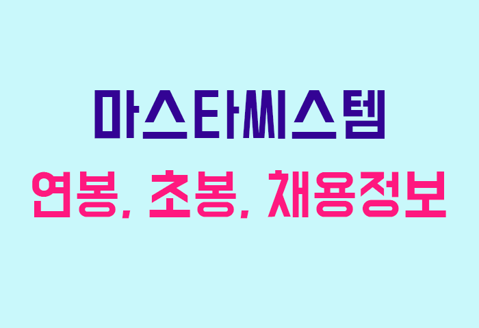 마스타씨스템 연봉